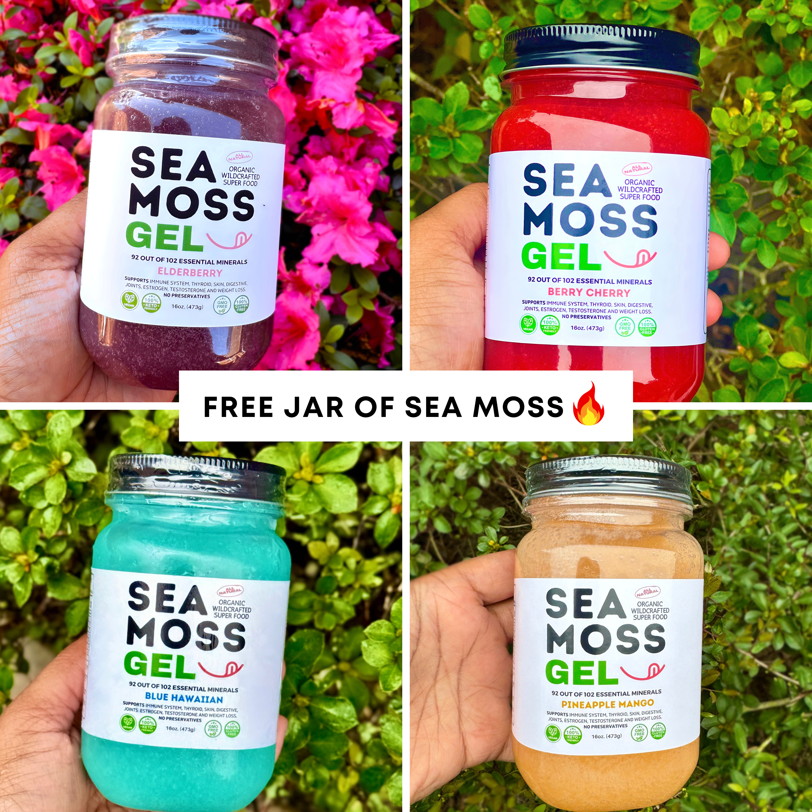 Flavored Sea Moss Gel - Dr. Sebi Inspired 100% Raw Organic - Wild