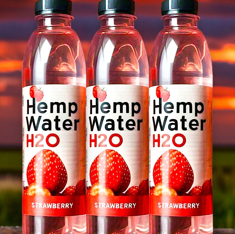 Hemp Water Strawberry Infused 100% Organic Vegan Wellness Keto