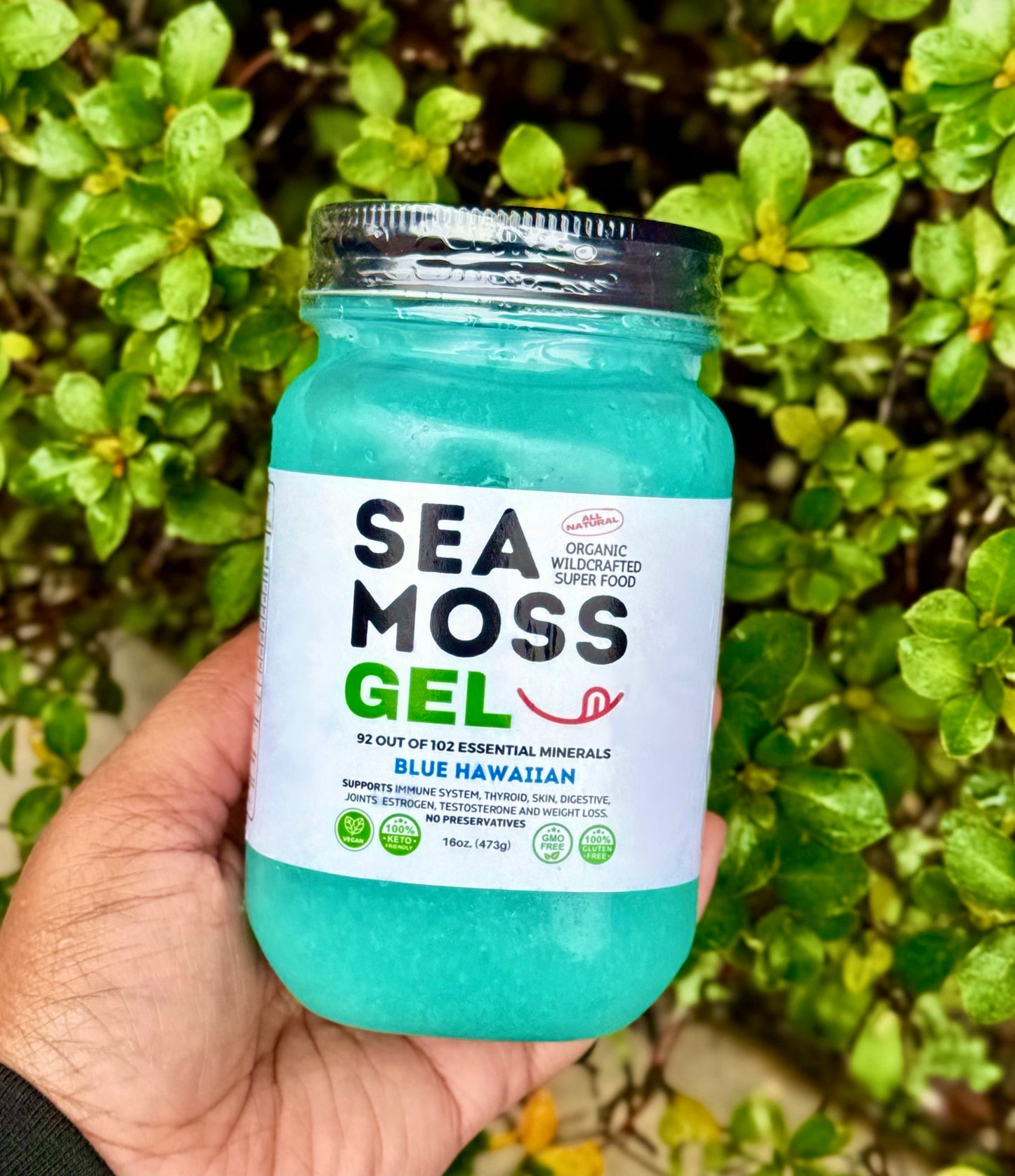 Blue Hawaiian Sea Moss Gel - Dr. Sebi Inspired 100% Raw Organic - Wild Harvested Sea Moss