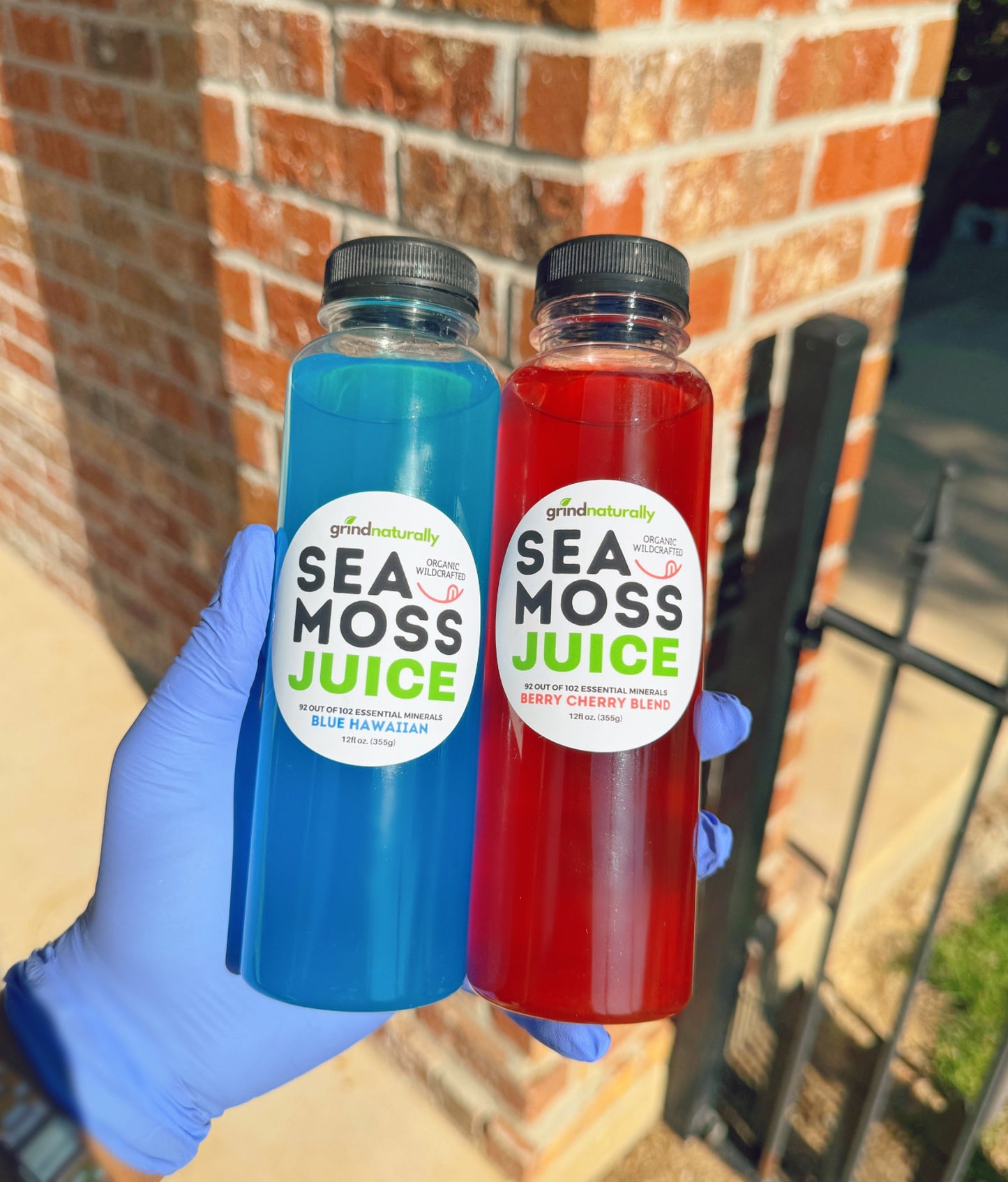 Sea Moss Infused Juice Pack - Organic Antioxidant Wellness Juice With Vital Nutrients