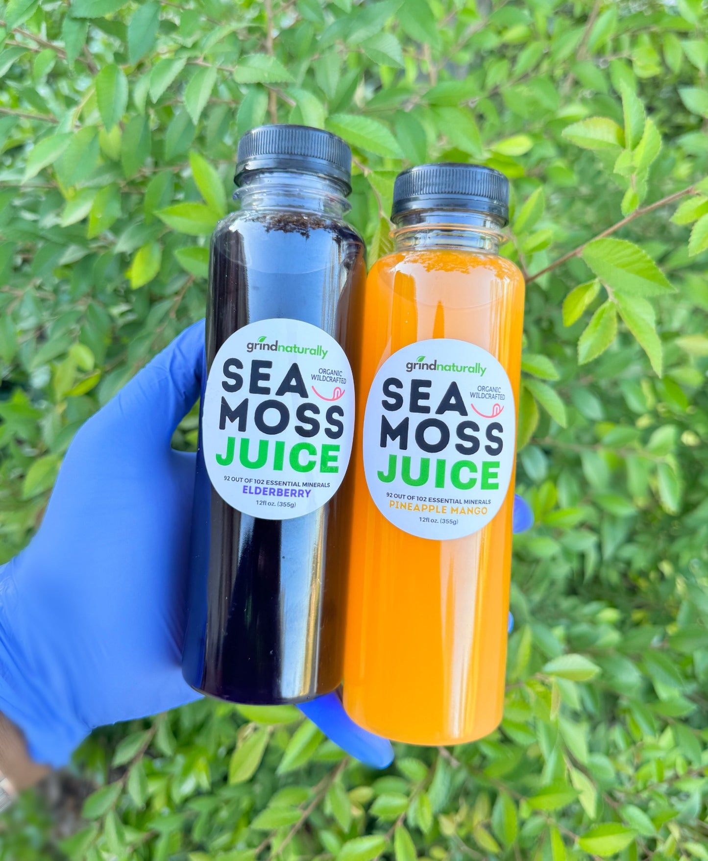 Sea Moss Infused Juice Pack - Organic Antioxidant Wellness Juice With Vital Nutrients