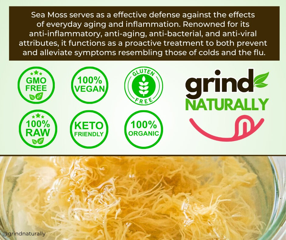 Fresh Lemonade Sea Moss Gel - Dr. Sebi Inspired 100% Raw Organic - Wild Harvested Sea Moss